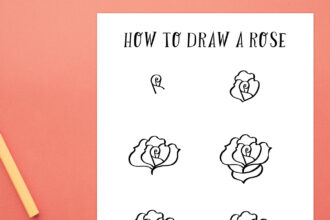 A piece of paper says How to Draw a Rose at the top and shows six different steps underneath in black marker on white paper.