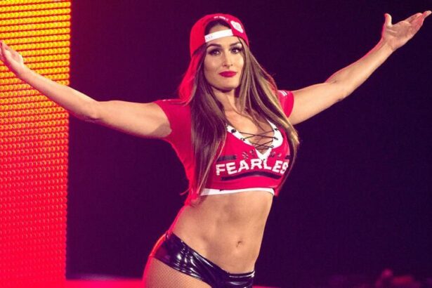 How long have former WWE star Nikki Bella and Artem Chigvintsev been together? Exploring their relationship timeline 