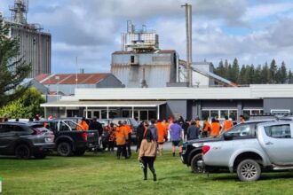 Hundreds of jobs go in Nth Island mill closures