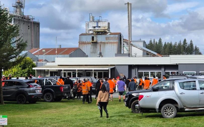 Hundreds of jobs go in Nth Island mill closures