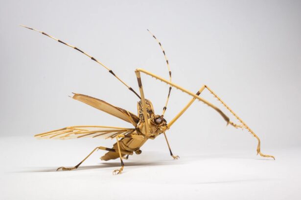 Insects Metamorphose from Bamboo in Noriyuki Saitoh’s Meticulous Sculptures — Colossal