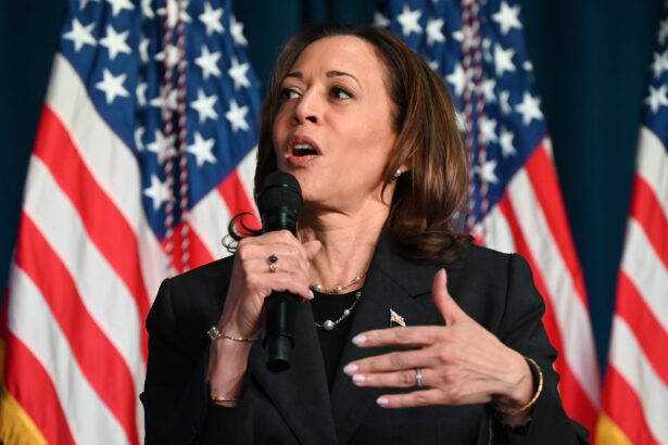Kamala Harris is making climate action patriotic. It just might work.