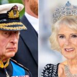 King Charles 'Ignoring' Camilla's Pleas to Stop Working Himself to Death