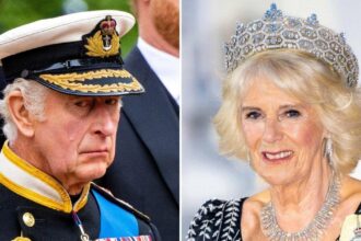 King Charles 'Ignoring' Camilla's Pleas to Stop Working Himself to Death