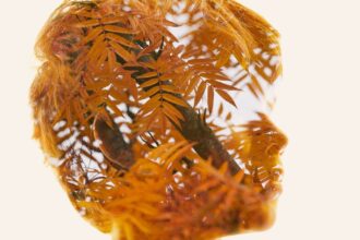 a double exposure photo of a child's silhouette filled with branches and orange leaves