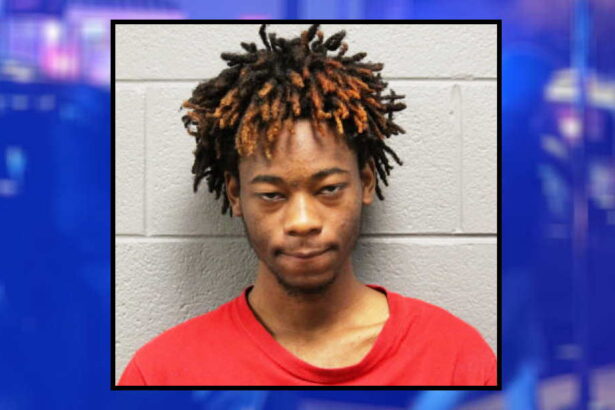 Man robbed CTA passenger 11 days after getting probation for robbing 2 people at a CTA station: prosecutors