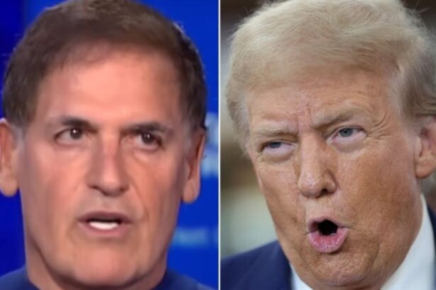 Mark Cuban Hits Trump For Putting Companies ‘Underneath A Hammer’ With Tariff Proposal