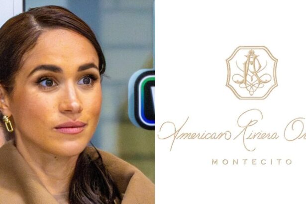 Meghan Markle’s Desperate Bid to Launch Goop-Style Online Empire Hits Massive Snag
