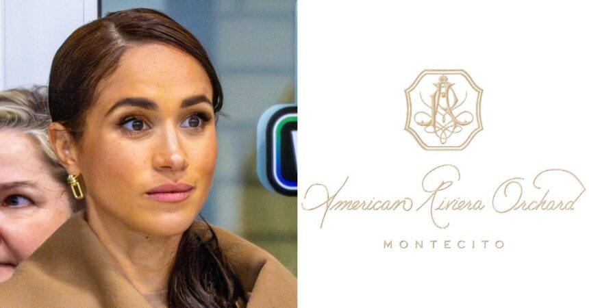 Meghan Markle’s Desperate Bid to Launch Goop-Style Online Empire Hits Massive Snag