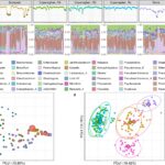 Metagenomics-based monitoring method improves epidemic monitoring via sewage