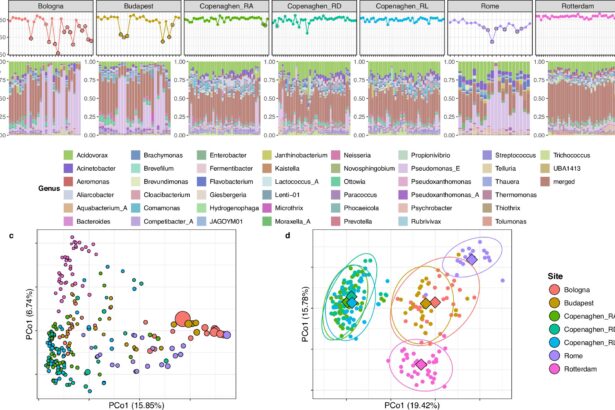 Metagenomics-based monitoring method improves epidemic monitoring via sewage