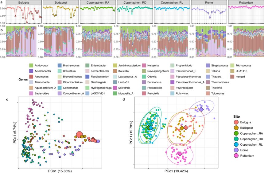 Metagenomics-based monitoring method improves epidemic monitoring via sewage