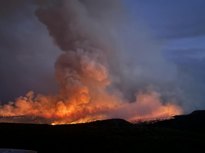 Montrose County man started Bucktail fire while cremating his dog, police say