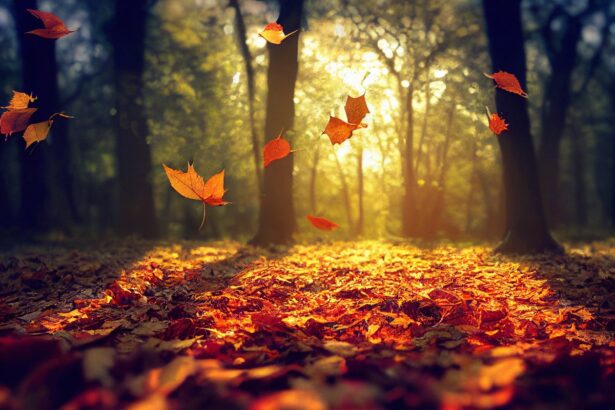 Moral Judgments May Shift with the Seasons