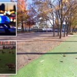 NJ man arrested after killing Hoboken goose with e-bike