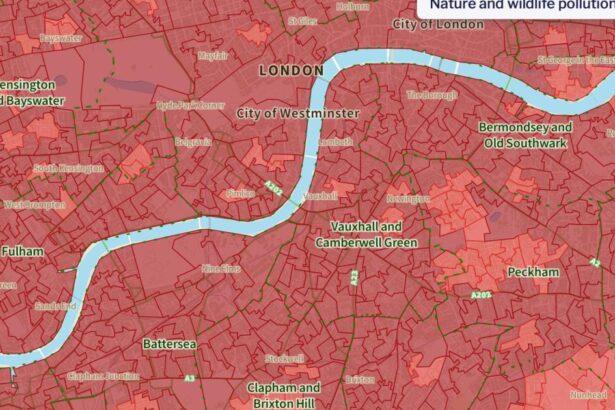 Pollution hotspots ‘threaten health and habitat’