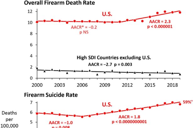 Prevalence of firearms in US drives public health crisis of gun deaths, study finds