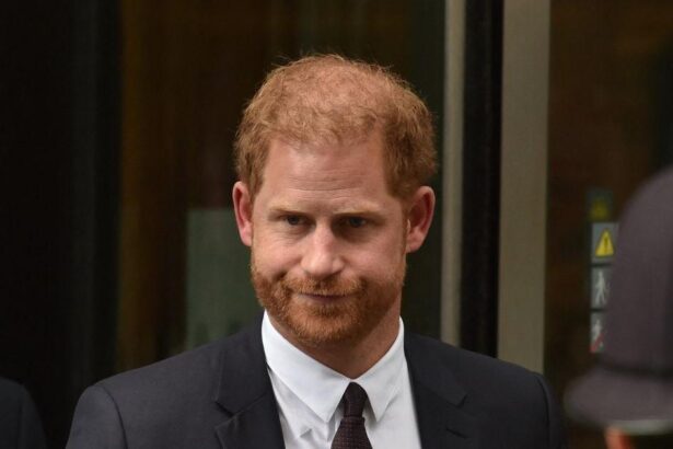 Prince Harry Slammed For Writing ‘Spare’ After Losing His Security