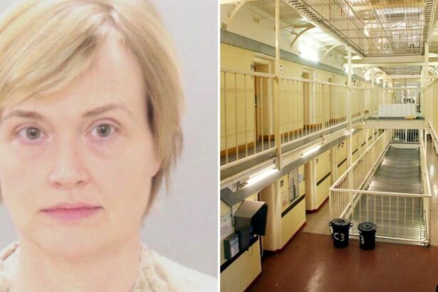 Prison for Woman Who Hired Hitman to Kill Wife of Man She Met on Match.com