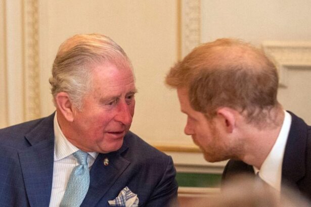 Queen Camilla Urges King Charles Not To Reunite With Prince Harry