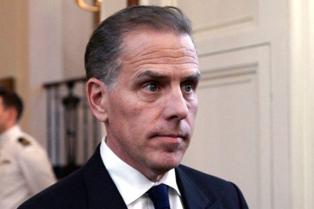 Scandals of Joe Biden's Son Hunter as He Enters Guilty Plea to Dodge Tax Trial