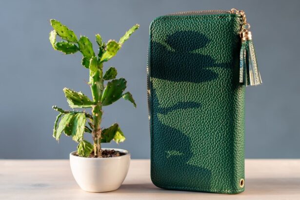 Shopping for Plant-Based Leather – Earth911