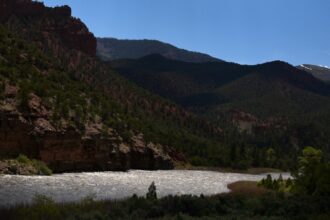 Since July, no more invasive zebra mussels found in the Colorado River