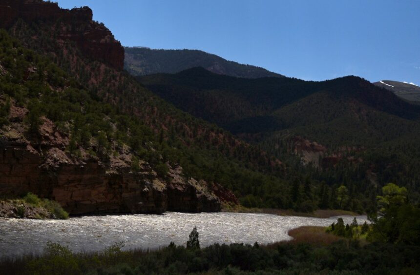 Since July, no more invasive zebra mussels found in the Colorado River