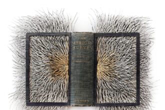 an altered hardcover book with its pages splayed outward and spliced into narrow, capillary-like slivers that have a symmetrical look. the spine of the book in the middle reads, "An African Survey."