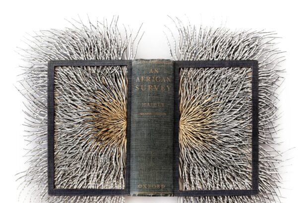 Sliced Slivers Emanate from Barbara Wildenboer’s Altered Books — Colossal