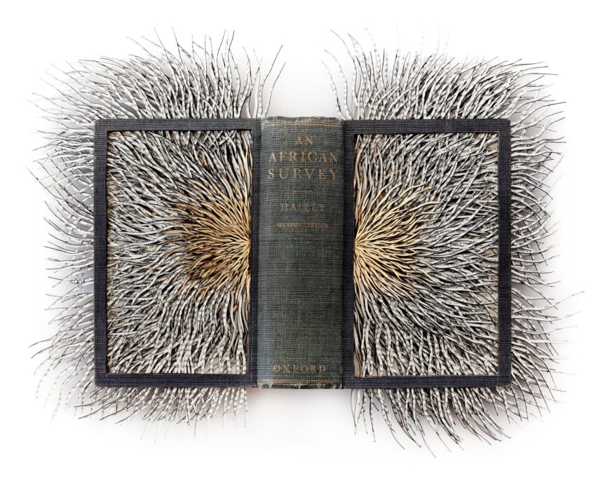 an altered hardcover book with its pages splayed outward and spliced into narrow, capillary-like slivers that have a symmetrical look. the spine of the book in the middle reads, "An African Survey."