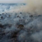 South America is burning. Climate scientists who have seen this coming for decades