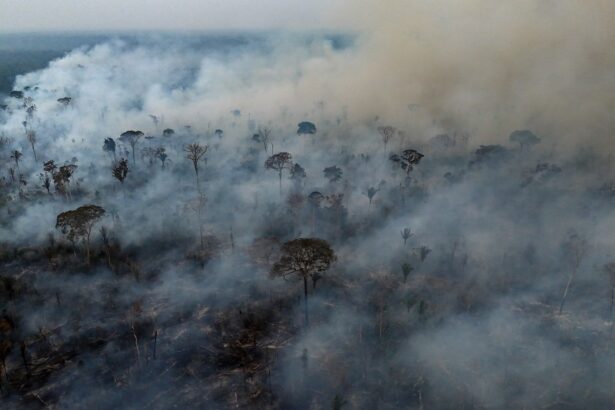 South America is burning. Climate scientists who have seen this coming for decades
