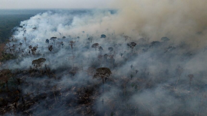 An aerial photos shows a wildfire burning through a jungle in the Amazon.