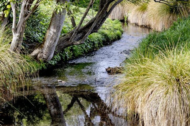 Stream improvements under way | Star News