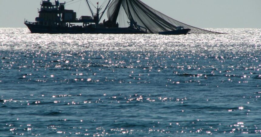 Sustainable fishing rules 'scientifically obsolete'