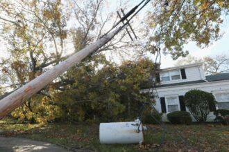 An electrical transformer, power lines and a tree rest in the yard of a house.