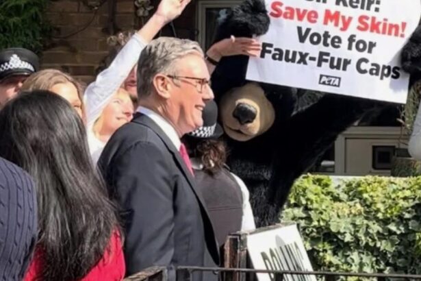 The Keir bears?