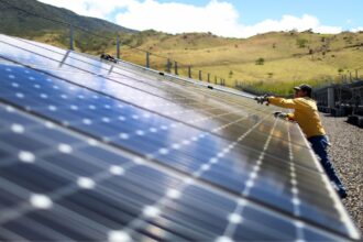 A worker cleans the panels in a solar power park in Guanacaste, Costa Rica.