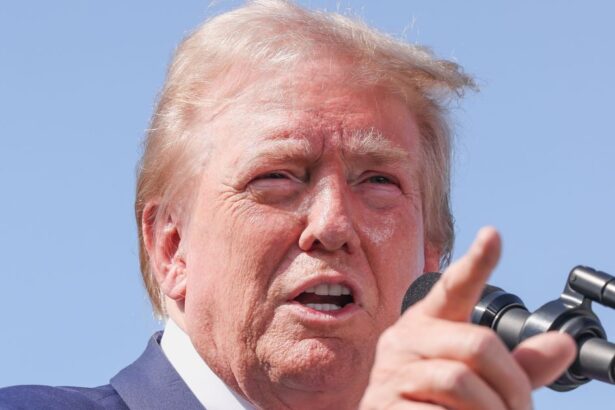 Trump Spews Bonkers Claim That Harris Was Fed Questions Pre-Debate: ‘Say It This Way!’