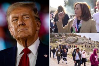 Trump slams Harris over data showing nearly 15K illegal immigrants in US accused or convicted of homicide