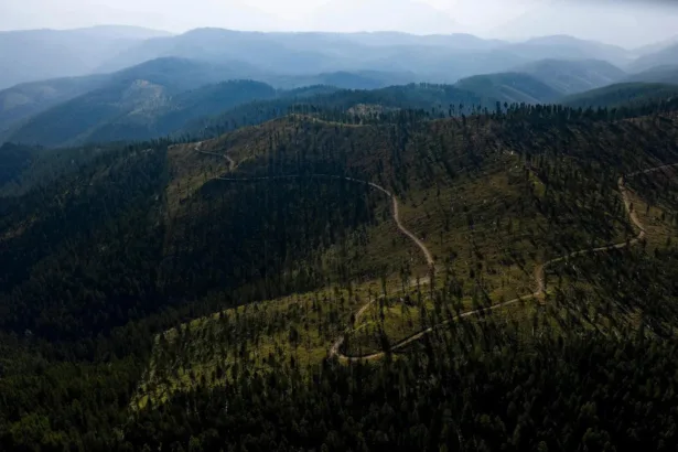 Trust Issues | Grist