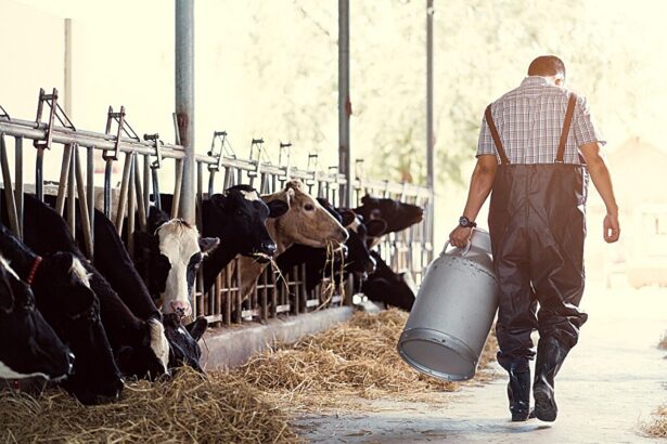 US wastewater tests show bird flu virus limited to areas with farm animals