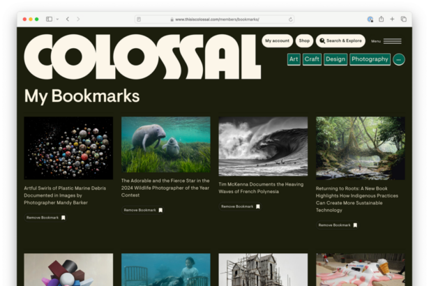 Want to Save a Colossal Article for Later? Bookmarking Is Here — Colossal