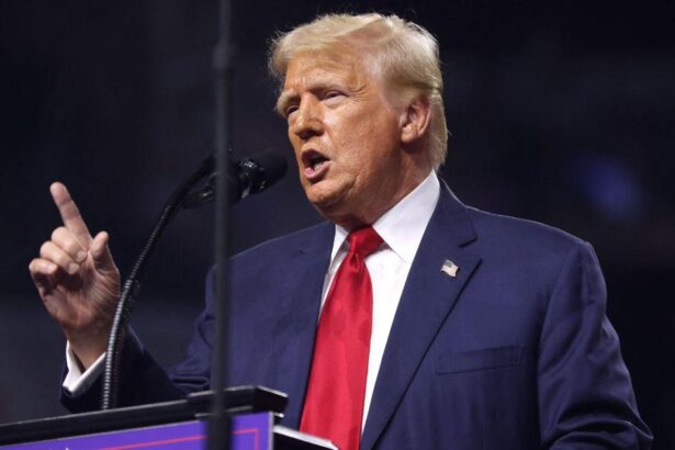 Was Donald Trump RIGHT About ‘Racist Lie’ Immigrants Are Eating Pets?