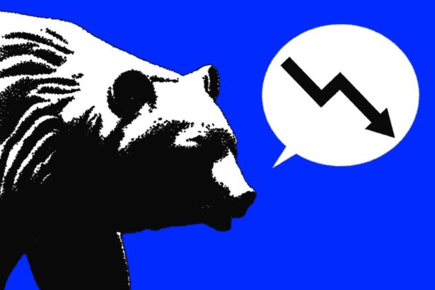 Watch these warning signs for a potential peak in the stock market’s long-term bull rally, NDR says