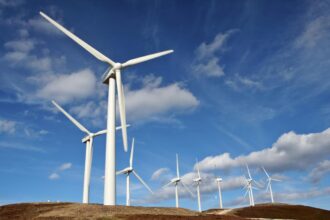 Wind farm possibility under investigation