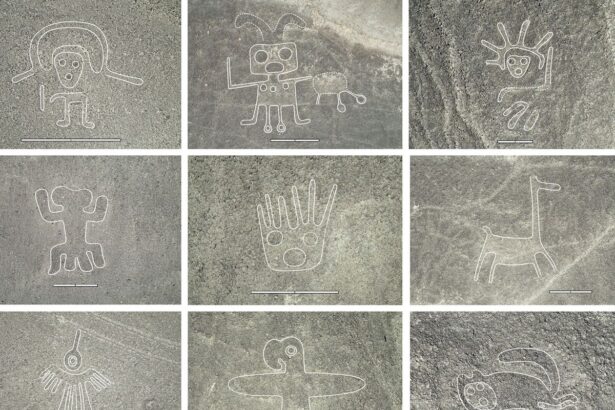 See Newly Discovered Nazca Drawings That Depict Llamas, Human Sacrifices and More