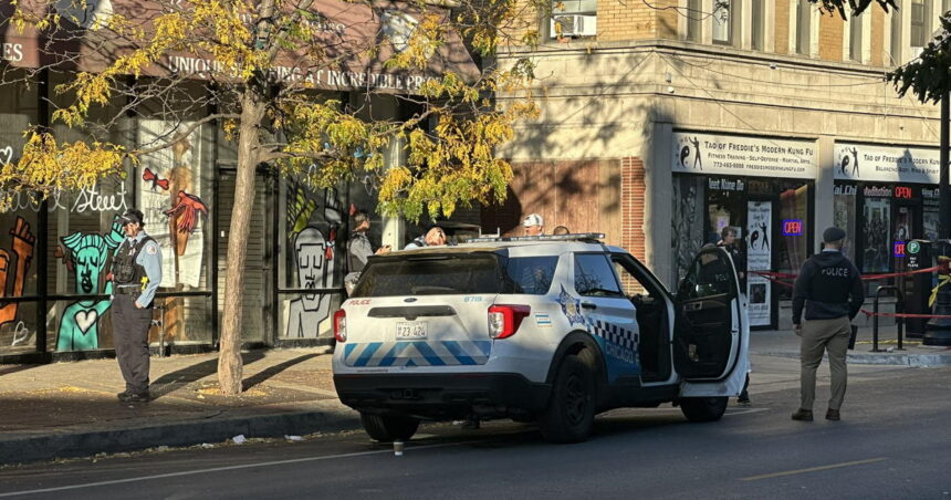 1 dead, 2 injured in afternoon shooting near Howard CTA station