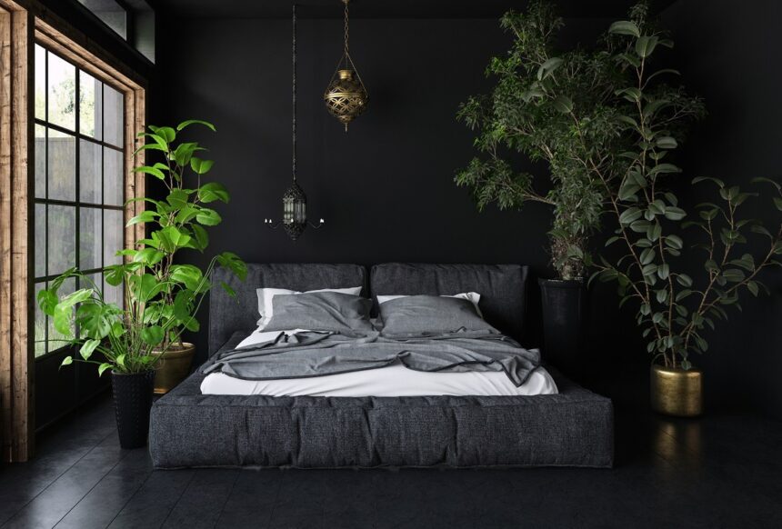 15 Soothing Bedroom Plants to Help You Sleep